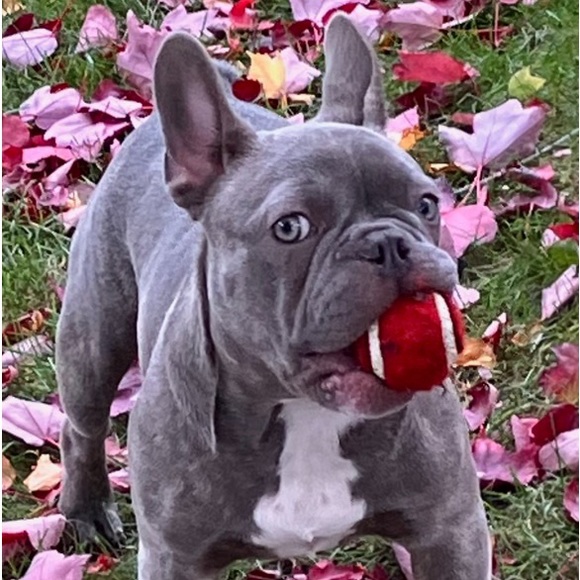 Meet your Posher, Heather - Picture 3 of 3